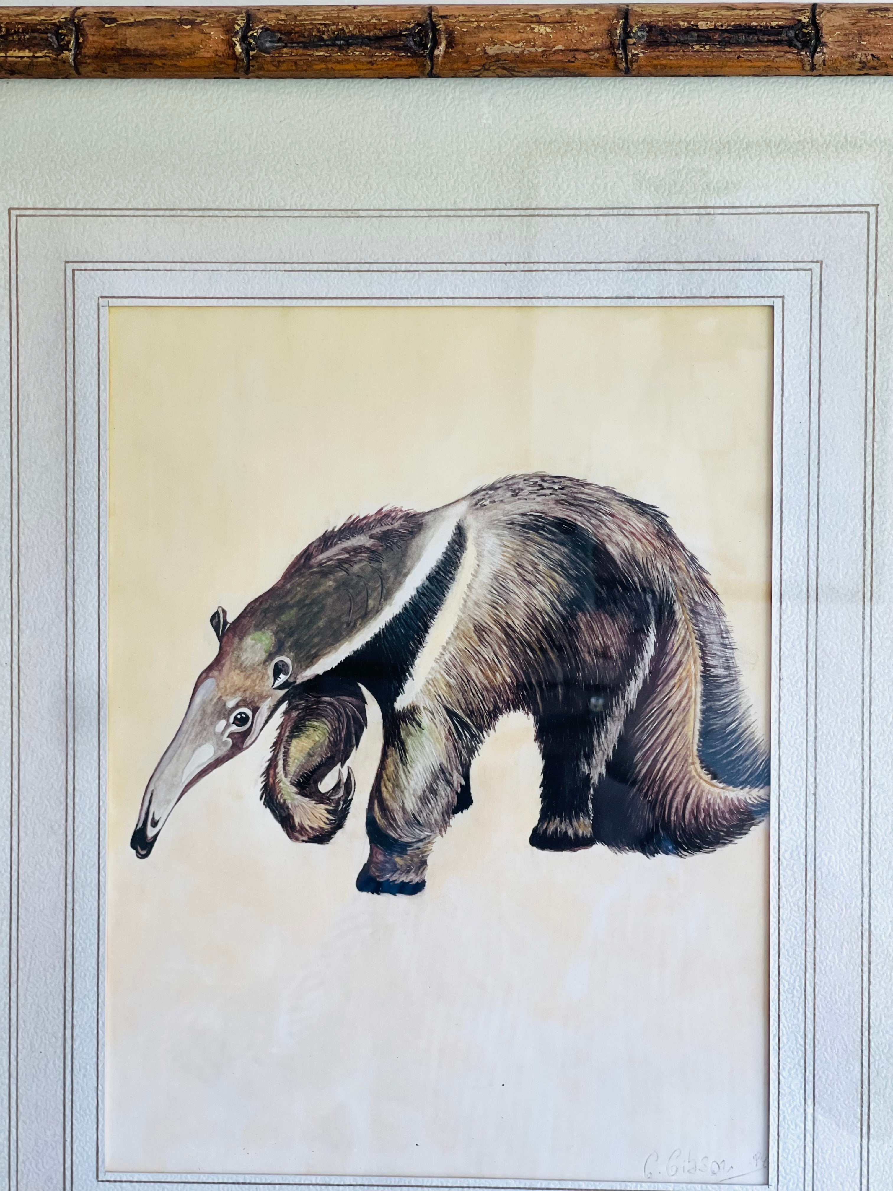 Hand Painted Ant Eater, Argentina