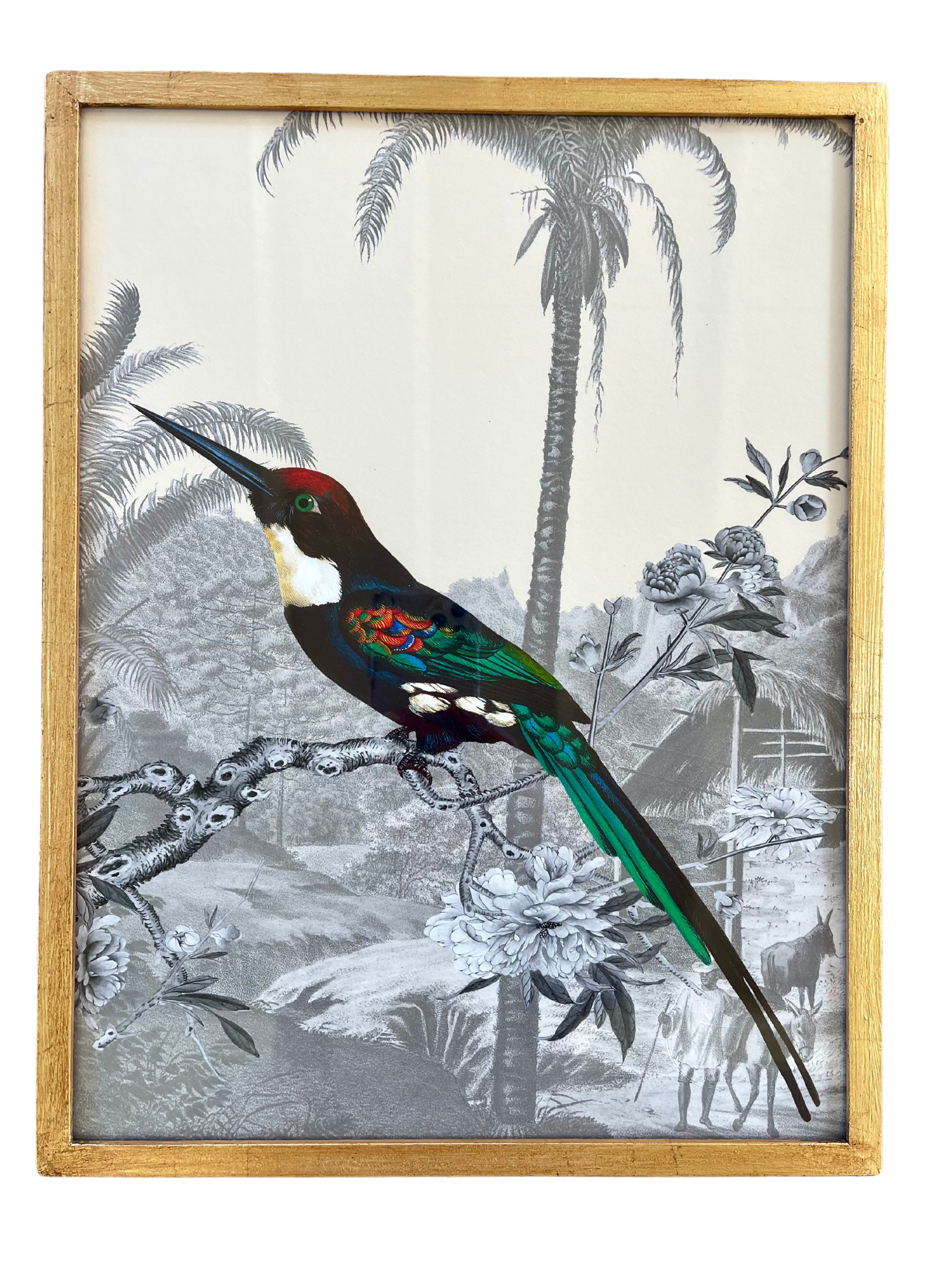 French design Jacamar Emerald Illustration in Gilded Custom Made Frame